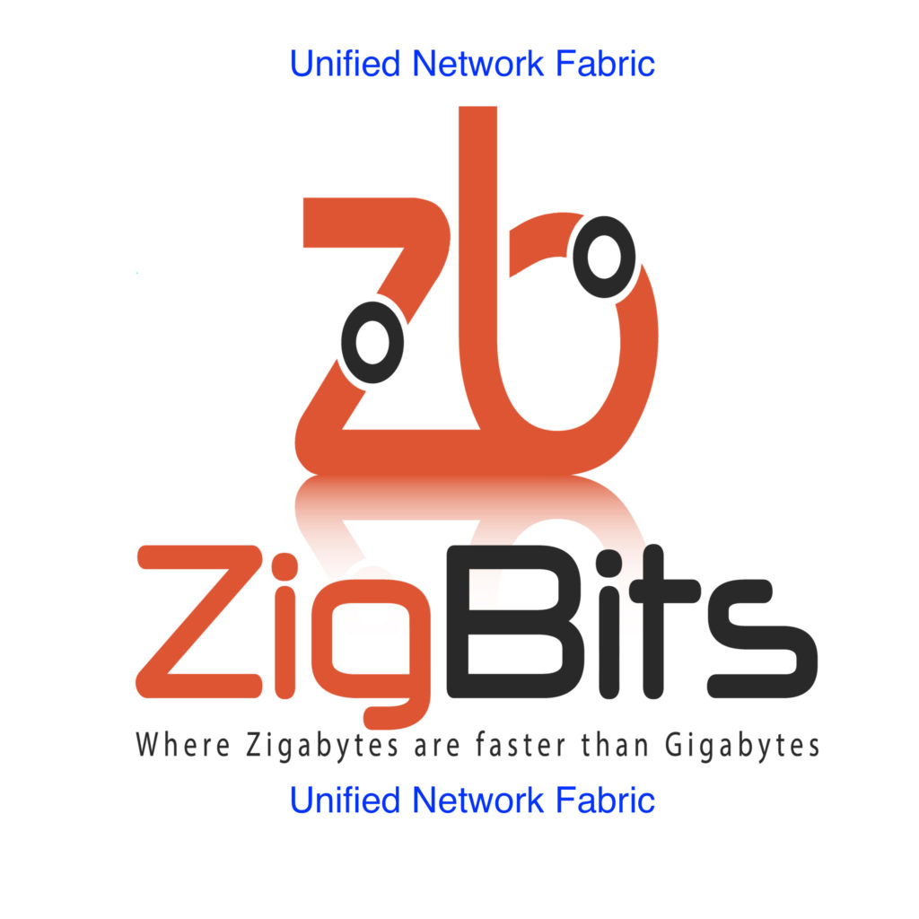 Unified Network Fabric