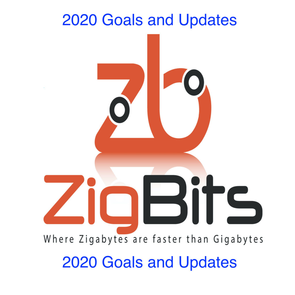 Zigbits 2020 Goals